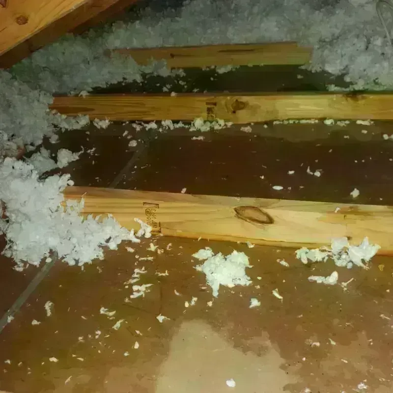 Attic Water Damage in Larkspur, CA